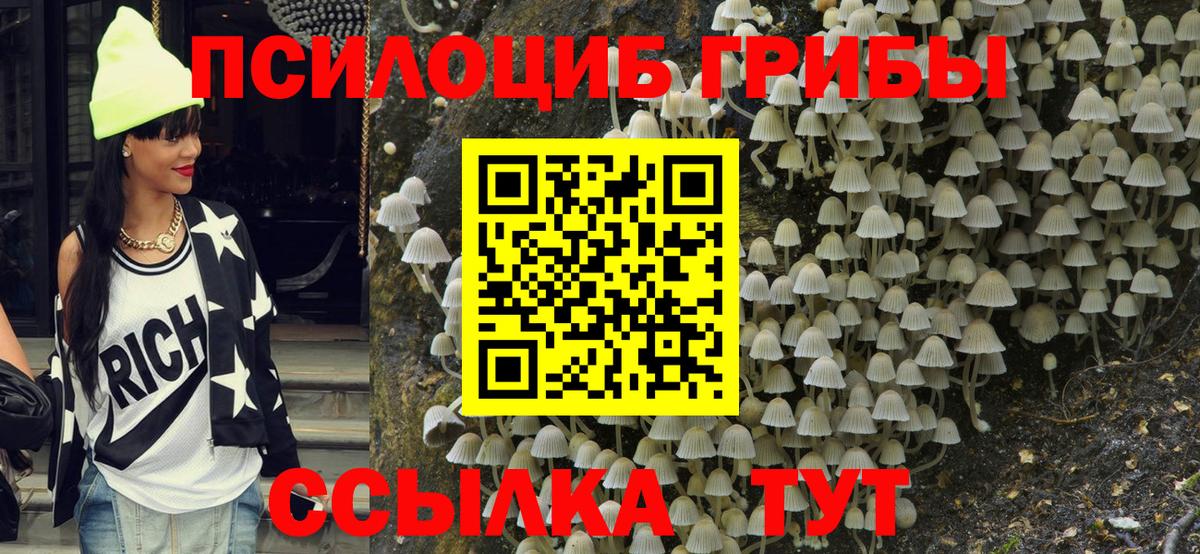 Галлюциногенные грибы ЛСД  Вход с VPN  Саки  Галлюциногенные грибы Psilocybine cubensis 